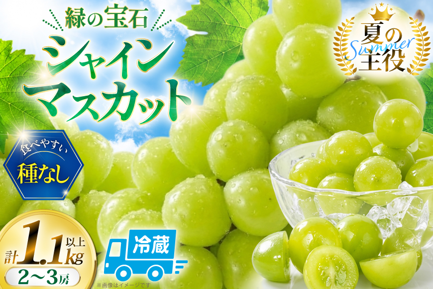 シャインマスカット 先行予約 頬張る幸福感 ～緑の宝石・シャインマスカット～ 1.1kg 以上 (2～3房) 【2026年発送】 [REGALO 山梨県 韮崎市 20745477] ぶどう シャイン シャインマスカット ブドウ シャイン マスカット しゃいんますかっと 葡萄 フルーツ 果物 くだもの 山梨 1キロ 2房 ～ 3房 山梨県産 先行受付
