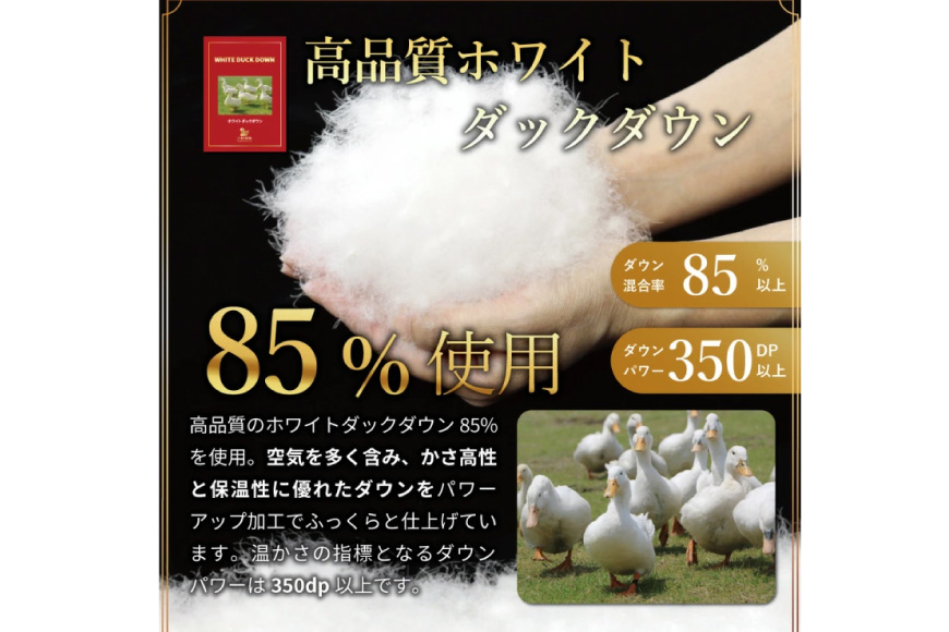 【春夏用】洗える 羽毛 肌掛け布団 シングル ホワイトダックダウン 85% 0.4kg (無地 ネイビー) [川村羽毛 山梨県 韮崎市 20743027] 掛け布団 布団 羽毛布団 ダウンケット ふとん 肌掛け ダウンケット 寝具