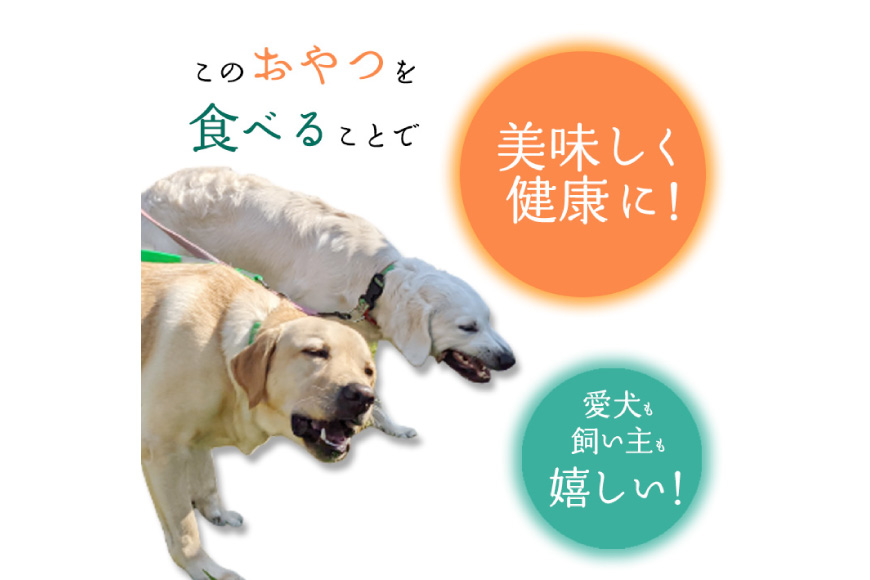 ドッグフード 無添加 FUJIDOG ブロッコリー入り鹿肉チップス 100g [FUJIDOG 山梨県 韮崎市 20745302] 高タンパク 低脂肪 10%以下 低脂質 犬のおやつ 犬の餌 国産 餌 エサ