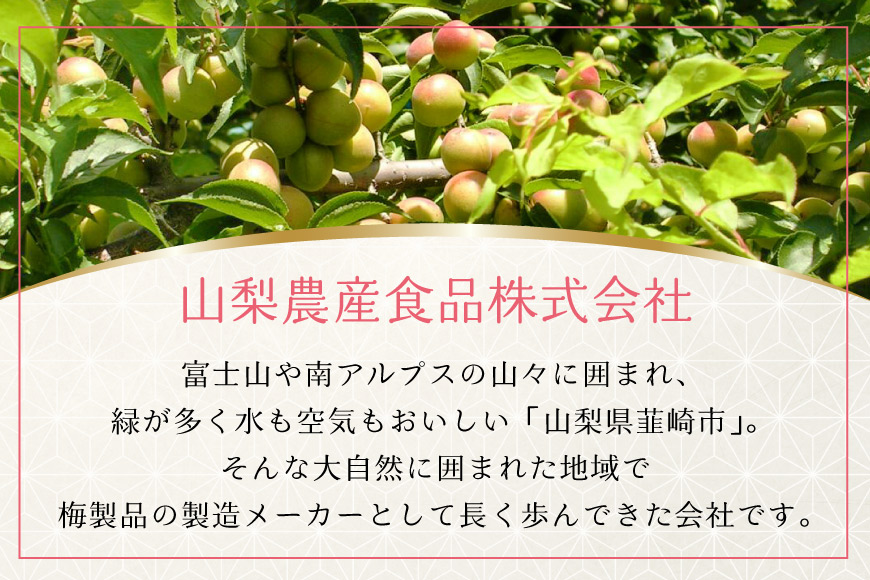【やわらか】信玄の薬膳小梅干 200g×2 [山梨農産食品 山梨県 韮崎市 20743181] 梅干し 梅干 うめぼし 梅 小粒 小梅 国産