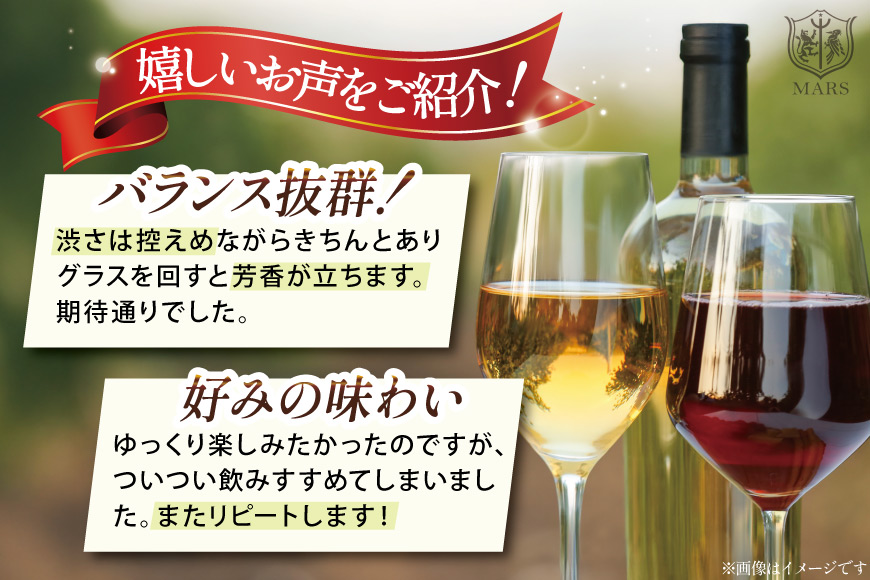 定期便 ワイン ソムリエ おまかせ 2本セット×4回 [マルス穂坂ワイナリー 山梨県 韮崎市 20743306]