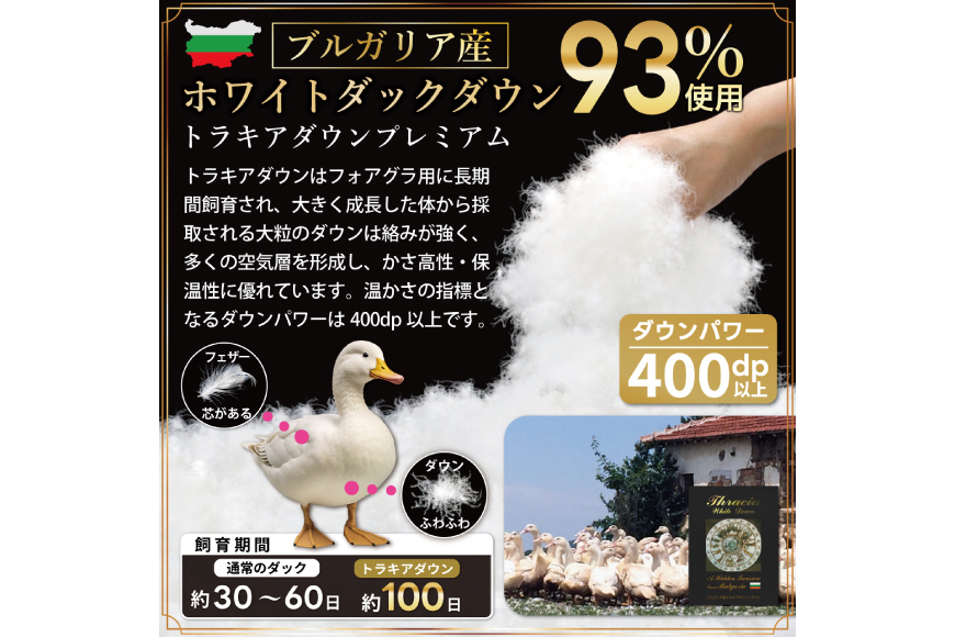 【春夏用】洗える！ 羽毛 肌掛け布団 シングル ホワイトダックダウン 93％ 0.4kg ブルガリア産 (無地 グレー) [川村羽毛 山梨県 韮崎市 20742867] 羽毛布団 布団 ふとん 羽毛 肌掛け 掛け布団 400dp 寝具 日本製 国産 抗菌防臭 無地 コインランドリー