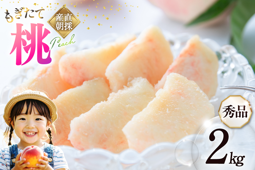 【2026年発送】桃 山梨 秀品 朝どれ 大玉 約 2.0kg 4～6玉 朝獲れ もぎたて もも モモ フルーツ 果物 山梨県産 産地直送 期間限定 季節限定 冷蔵 農家直送 白鳳 夢みずき 浅間白桃 なつっこ 紅くにか 川中島白桃 [韮崎市桃農家の産直 山梨県 韮崎市 20745235]