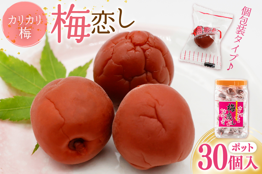 梅干し 梅恋しポット 30個入 [山梨農産食品 山梨県 韮崎市 20743520] 梅干 うめぼし 個包装 梅 漬物 つけもの おやつ おつまみ 熱中症予防