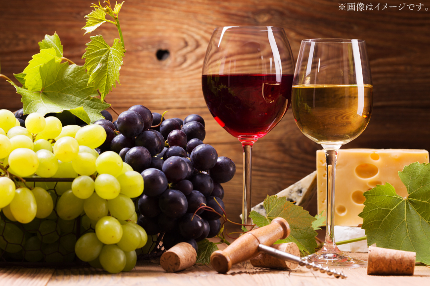 【3回定期便】NS-0012 韮崎ワイナリー赤白ワイン 750ml 3本 3ヶ月 計9本 [韮崎翠緑 山梨県 韮崎市 20745304] ワイン 山梨 ワインセット お酒 酒 飲み比べ 飲み比べセット 詰め合わせ 赤 白 定期便