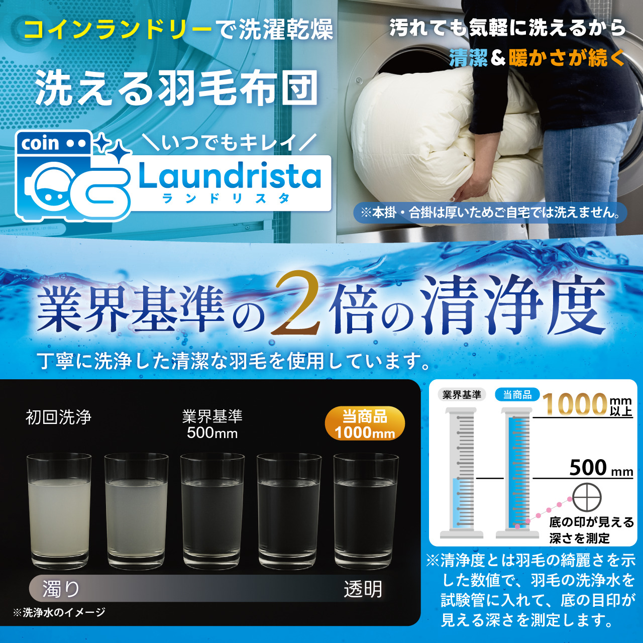 【春夏用】洗える 羽毛 肌掛け布団 セミダブル ホワイトグースダウン 93％ 0.5kg ポーランド産 (無地 グレー) [川村羽毛 山梨県 韮崎市 20743655] 布団 羽毛布団 肌掛け 日本製 コインランドリー