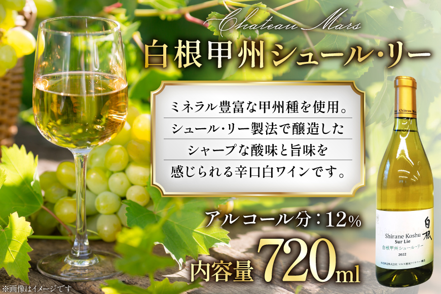 ワイン 飲み比べ ソムリエセレクト 白ワイン 4本セット [本坊酒造 マルス穂坂ワイナリー 山梨県 韮崎市 20743677] ワインセット 白 シャトーマルス 辛口 お酒