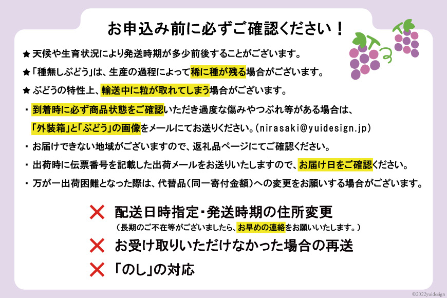 【2026年発送】シャインマスカット 訳あり家庭用 粒 にてお届け 約1kg 山梨県産 冷蔵発送 果物 フルーツ 山梨 ぶどう マスカット ブドウ 葡萄 規格外 期間限定 季節限定 冷蔵 山梨 [斎庵 山梨県 韮崎市 20745284]