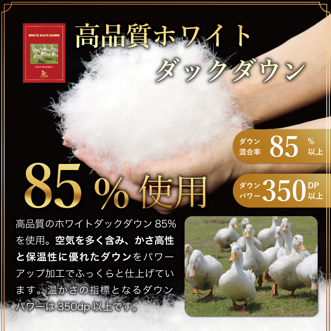 【春夏用】洗える 羽毛 肌掛け布団 セミダブル ホワイトダックダウン 85% 0.5kg (無地 ブラウン) [川村羽毛 山梨県 韮崎市 20743633] 掛け布団 布団 羽毛布団 ダウンケット ふとん 肌掛け ダウンケット 寝具 コインランドリー