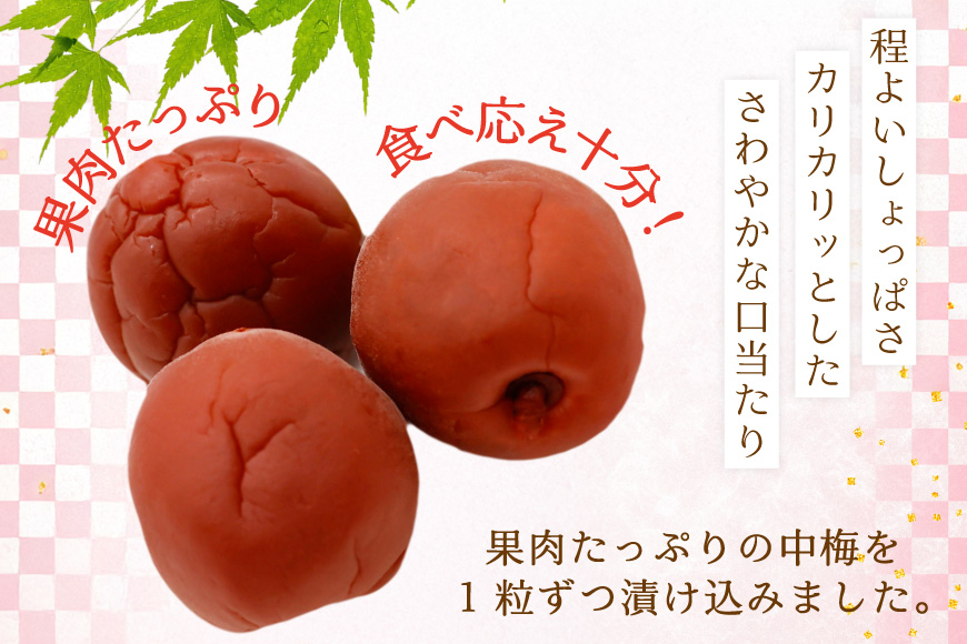 梅干し 梅恋しポット 30個入 [山梨農産食品 山梨県 韮崎市 20743520] 梅干 うめぼし 個包装 梅 漬物 つけもの おやつ おつまみ 熱中症予防