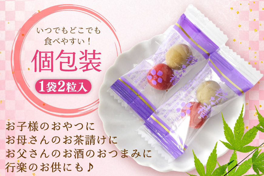 【やばいだろ】粋な小梅 30粒×15 計450粒 [山梨農産食品 山梨県 韮崎市 20743417] 梅干し 梅干 うめぼし 梅 小粒 小梅 カリカリ梅 国産 個包装