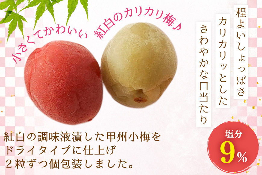 【やばいだろ】粋な小梅 2粒×60 計120粒 [山梨農産食品 山梨県 韮崎市 20743177] 梅干し 梅干 うめぼし 梅 小粒 小梅 カリカリ梅 国産 個包装