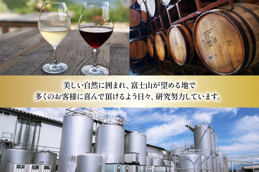 ワイン 赤 コンチネンタル マスカット・ベーリーA 750ml×2本 [サン.フーズ 山梨県 韮崎市 20743138] 赤ワイン 日本ワイン お酒 アルコール