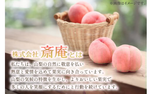 【2026年発送】訳あり 桃 もも 白鳳 or 白桃 3号 約2.2kg (6～10玉) モモ 果物 フルーツ 山梨 期間限定 季節限定 冷蔵 農福連携 [斎庵 山梨県 韮崎市 20745277]