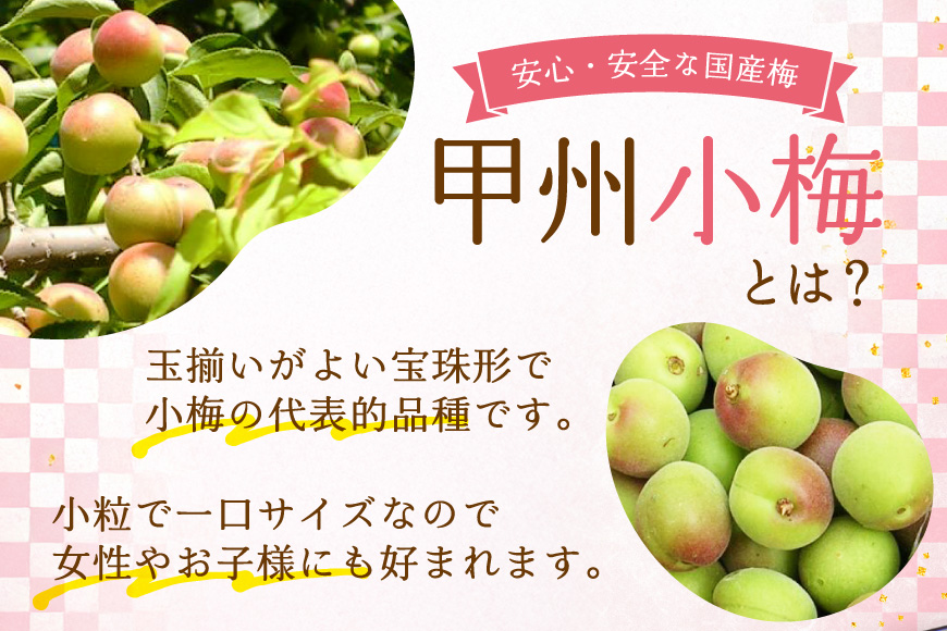 【やばいだろ】粋な小梅 30粒×15 計450粒 [山梨農産食品 山梨県 韮崎市 20743417] 梅干し 梅干 うめぼし 梅 小粒 小梅 カリカリ梅 国産 個包装