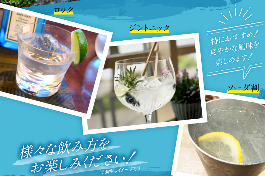 【大容量】甲州韮崎 ジン 700ml×12本 [株式会社マツムラ酒販 山梨県 韮崎市 20744957] 酒 お酒 スピリッツ 蒸留酒 クラフトジン 国産 カクテル JIN ソーダ割り