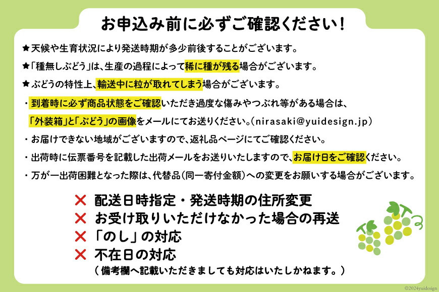 【2026年発送】先行予約 ぶどう シャインマスカット 約1.2kg (2〜2.5房) 【冷蔵発送】 フルーツ 果物 くだもの ブドウ 葡萄 種なし 1.2キロ 甘い 期間限定 季節限定 JA 厳選 山梨県産 令和8年 8月下旬から [梨北農業協同組合 山梨県 韮崎市 20742921]