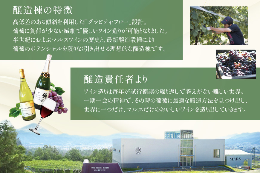 ワイン 白 スパークリング おまかせ マルスワイン2本セット ～夏の陣～ [本坊酒造 マルス穂坂ワイナリー 山梨県 韮崎市 20743116] 白ワイン スパークリングワイン 夏のワイン シャトーマルス
