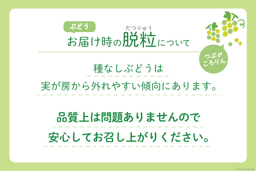 【期間限定発送】山梨県産 シャインマスカット 約1.8kg（2〜4房） [株式会社斎庵 山梨県 韮崎市 20743092] シャインマスカット フルーツ 果物 くだもの マスカット シャイン ぶどう 葡萄 種無し 山梨 