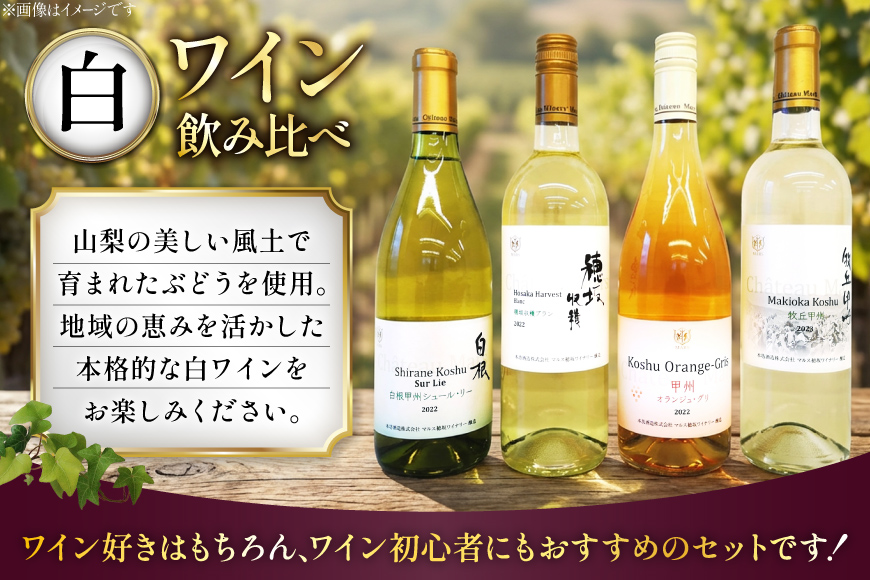 ワイン 飲み比べ ソムリエセレクト 白ワイン 4本セット [本坊酒造 マルス穂坂ワイナリー 山梨県 韮崎市 20743677] ワインセット 白 シャトーマルス 辛口 お酒