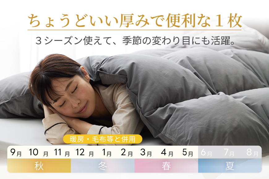 【春秋用】 洗える 羽毛布団 合掛け シングル ホワイトダックダウン85% 0.8kg 無地 グレー 中厚 春用 秋用 [川村羽毛 山梨県 韮崎市 20745483] 合い掛け 軽い羽毛 布団  コインランドリー 掛け布団 ダウンかけ布団 ふとん 羽毛ふとん 合掛け布団 エクセルゴールドラベル