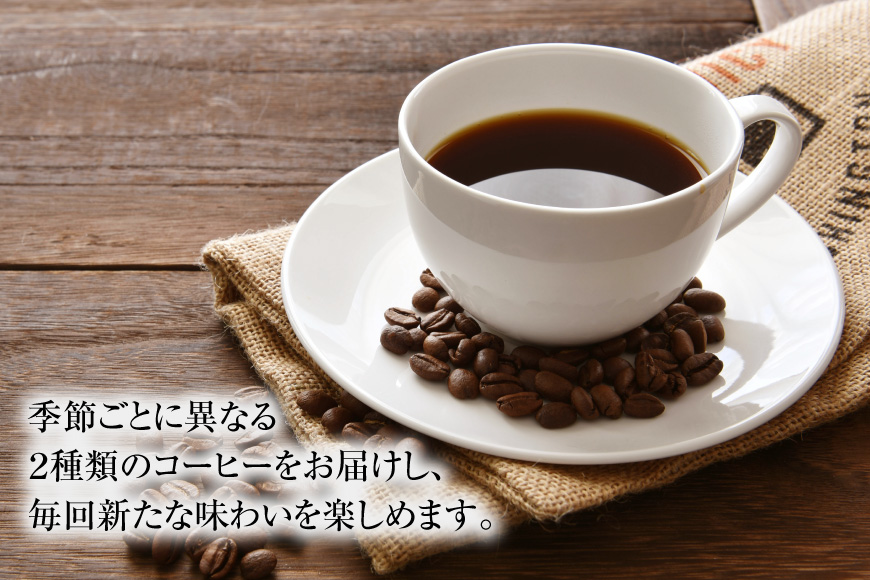 12回 定期便 自家焙煎 スペシャルティコーヒー 季節のギフトセット 200g 2種類 総計4.8kg 【挽き】 [アフターゲームカフェ 山梨県 韮崎市 20743930] コーヒー 珈琲 挽き 詰め合わせ セット 飲み比べ