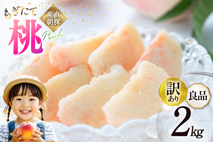 【2026年発送】訳あり 桃 山梨 良品 朝どれ 大玉 約 2.0kg 4～6玉 家庭用 朝獲れ もぎたて もも モモ フルーツ 果物 山梨県産 産地直送 期間限定 季節限定 冷蔵 農家直送 白鳳 夢みずき 浅間白桃 なつっこ 紅くにか 川中島白桃 [韮崎市桃農家の産直 山梨県 韮崎市 20745234]