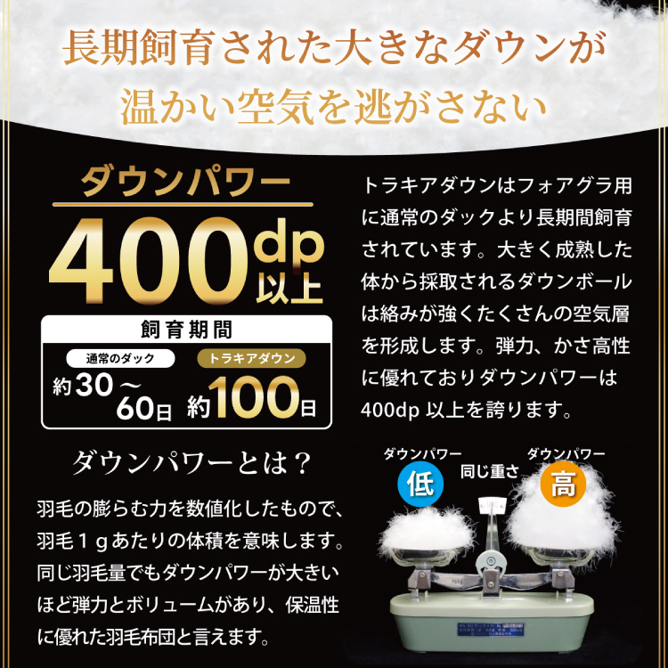 【春夏用】洗える！ 羽毛 肌掛け布団 シングル ホワイトダック 93% ブラウン ダウンケット [川村羽毛 山梨県 韮崎市 20743749] 羽毛布団 布団 ふとん 羽毛 肌掛け 掛け布団 寝具 日本製 国産 抗菌防臭 無地 コインランドリー