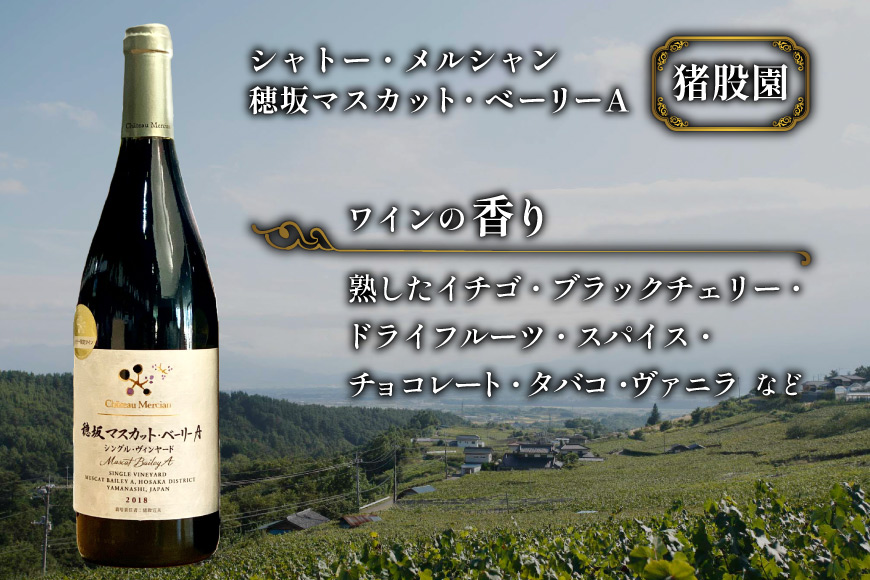 定期便 ワイン セット 穂坂マスカット・ベーリーＡ シングル・ヴィンヤード 750ml×2種×12回 酒 ワイン 赤ワイン / シャトー・メルシャン 勝沼ワイナリー / 山梨県 韮崎市 [20743314]