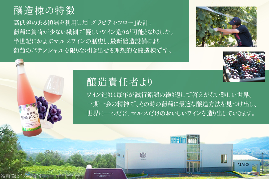 ワイン ロゼ 甘口 一番収穫巨峰にごり 500ml [本坊酒造 マルス穂坂ワイナリー 山梨県 韮崎市 20742240] ロゼワイン