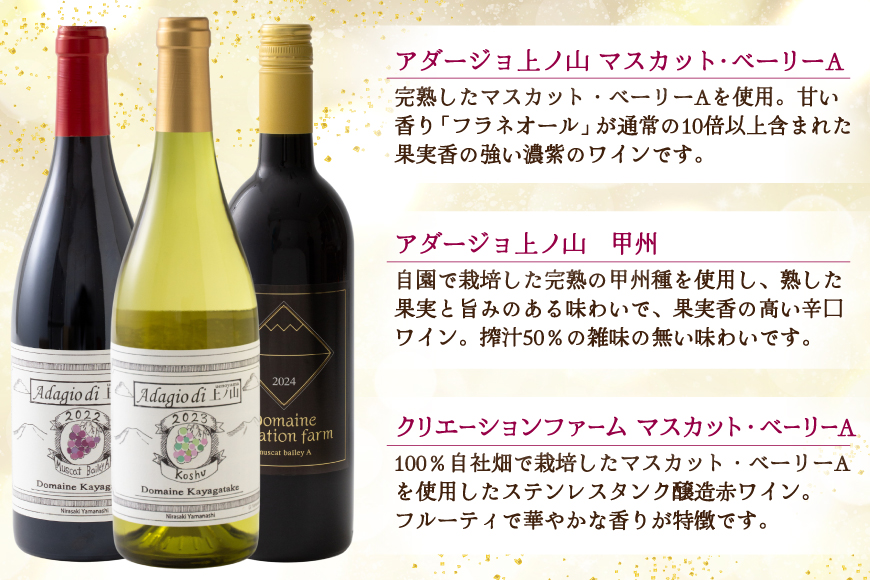 韮崎産 赤白スパークリング12本 お得な飲み比べセット 750ml ×11本 720ml ×1本 [株式会社まあめいく 山梨県 韮崎市 20745323] ワイン Wine わいん 赤ワイン 白ワイン 飲み比べ セット お酒 酒 山梨ワイン 甲州 スパークリング