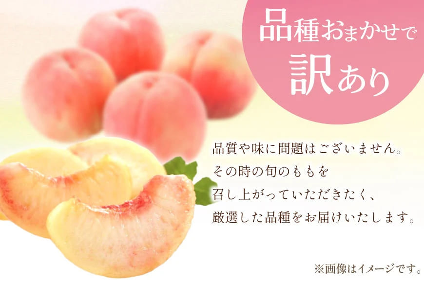 【2026年発送】訳あり 桃 もも 白鳳 or 白桃 3号 約2.2kg (6～10玉) モモ 果物 フルーツ 山梨 期間限定 季節限定 冷蔵 農福連携 [斎庵 山梨県 韮崎市 20745277]
