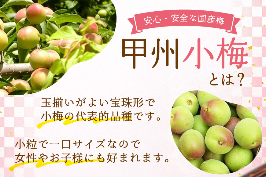【やわらか】信玄の薬膳小梅干 200g×2 [山梨農産食品 山梨県 韮崎市 20743181] 梅干し 梅干 うめぼし 梅 小粒 小梅 国産