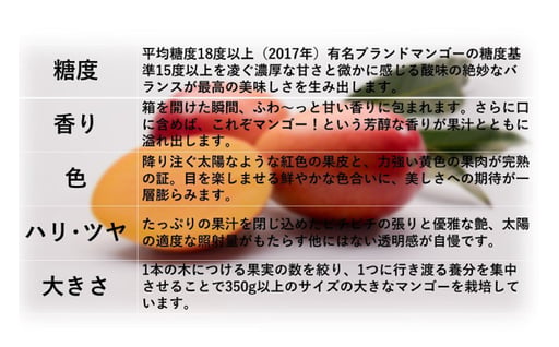 【期間限定発送】 完熟 マンゴー 「天空の輝き」 2L 2個入 [採園 山梨県 韮崎市 20743342] マンゴー アップルマンゴー フルーツ 果物 完熟 期間限定 季節限定 冷蔵