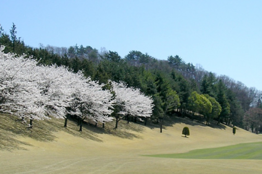 【甲斐ヒルズカントリー倶楽部】 ゴルフ場利用券 ゴルフ 施設利用券 A 3,000円×2セット 6,000円分 [甲斐ヒルズカントリー倶楽部 山梨県 韮崎市 20745322] チケット 宿泊 体験 体験型 ゴルフ場