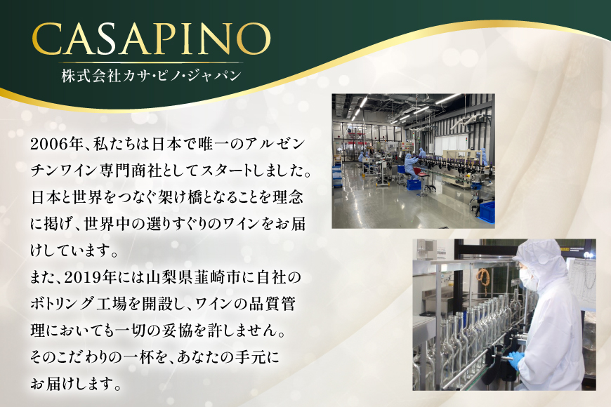 ワイン 赤 シエロアンディーノ・レッド 720ml 12本 セット [カサ・ピノ・ジャパン 山梨県 韮崎市 20745347] ワインセット 山梨 酒 お酒 赤ワイン アルコール ぶどう 果実酒
