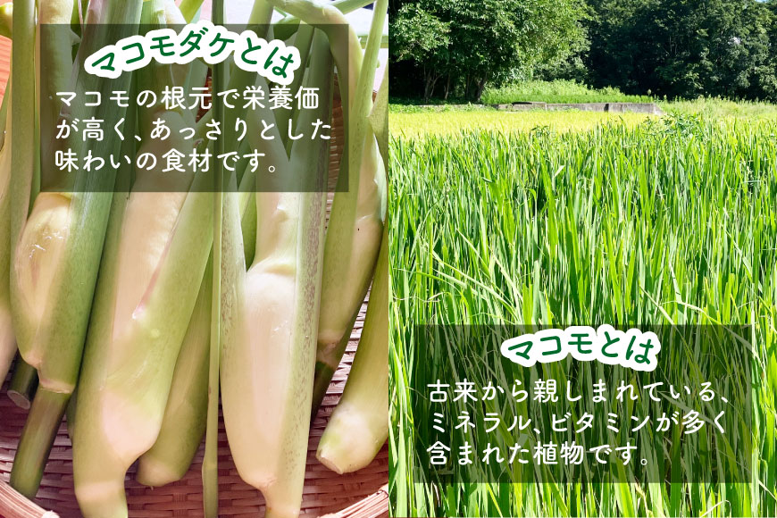 マコモ体験チケット（9,000円分）田植え 収穫 マコモ料理 手仕事体験 [マコモ農園さんさん 山梨県 韮崎市 20742714] 体験 子ども 子供 まこも 真菰 マコモ 真菰茶 まこも茶 マコモ茶 マコモダケ 体験型