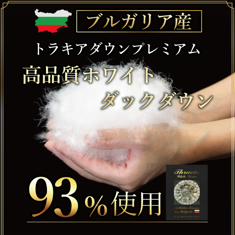 【春夏用】洗える！ 羽毛 肌掛け布団 シングル ホワイトダック 93% ブラウン ダウンケット [川村羽毛 山梨県 韮崎市 20743749] 羽毛布団 布団 ふとん 羽毛 肌掛け 掛け布団 寝具 日本製 国産 抗菌防臭 無地 コインランドリー