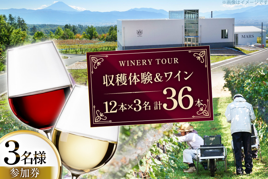 ワイン 収穫体験＆ワインセット 12本×3名 計36本 3名様 参加券 ワイナリー [本坊酒造マルス穂坂ワイナリー 山梨県 韮崎市 20745173]