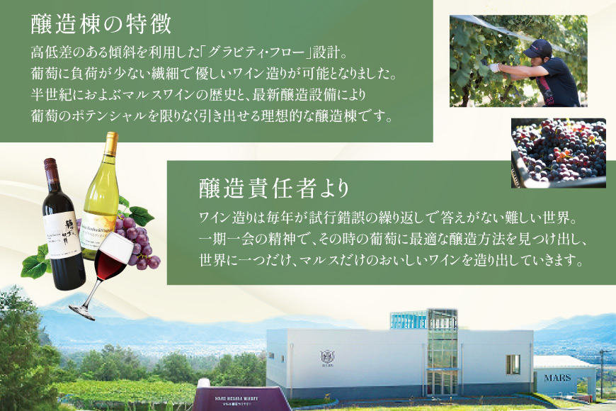 定期便 ワイン ソムリエ おまかせ 2本セット×4回 [マルス穂坂ワイナリー 山梨県 韮崎市 20743306]