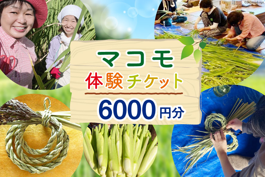 マコモ体験チケット（6,000円分）田植え 収穫 マコモ料理 手仕事体験 [マコモ農園さんさん 山梨県 韮崎市 20742713] 体験 子ども 子供 まこも 真菰 マコモ 真菰茶 まこも茶 マコモ茶 マコモダケ 体験型