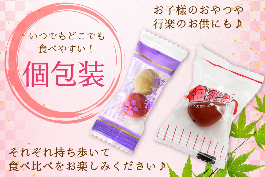 梅干し 粋な小梅 15個 & 梅恋し 10個 [山梨農産食品 山梨県 韮崎市 20743521] 梅干 うめぼし 個包装 食べ比べ 梅 漬物 つけもの おやつ  おつまみ 熱中症予防