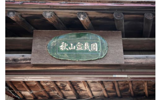 ふるさと納税限定 園主 秋山実と選ぶ 盆栽購入チケット 15,000円分 / 秋山園 / 山梨県 韮崎市