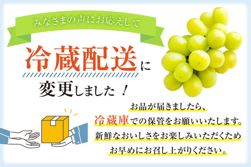 【2026年発送】先行予約 ぶどう シャインマスカット 約1.2kg (2〜2.5房) 【冷蔵発送】 フルーツ 果物 くだもの ブドウ 葡萄 種なし 1.2キロ 甘い 期間限定 季節限定 JA 厳選 山梨県産 令和8年 8月下旬から [梨北農業協同組合 山梨県 韮崎市 20742921]