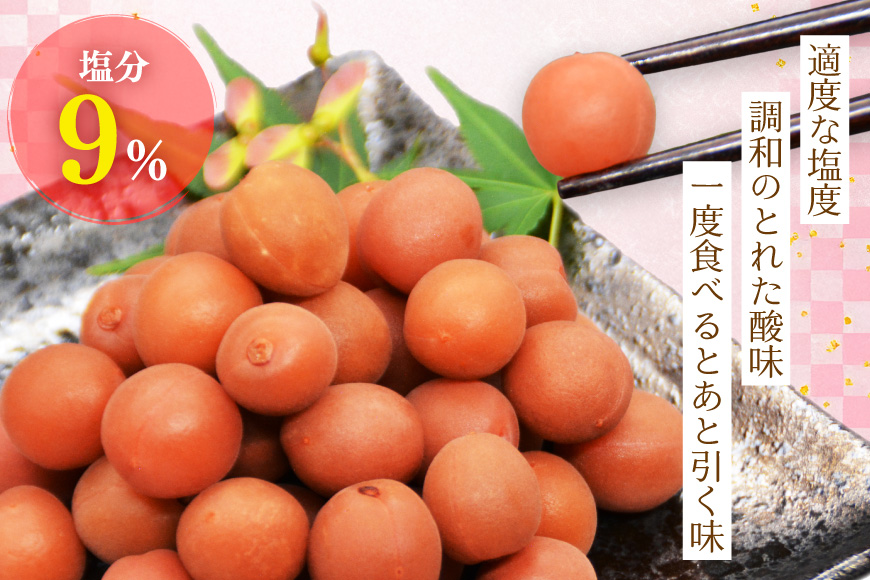 【カリカリ】甲州小梅 300g [山梨農産食品 山梨県 韮崎市 20743178] 梅干し 梅干 うめぼし 梅 小粒 小梅 カリカリ梅 国産