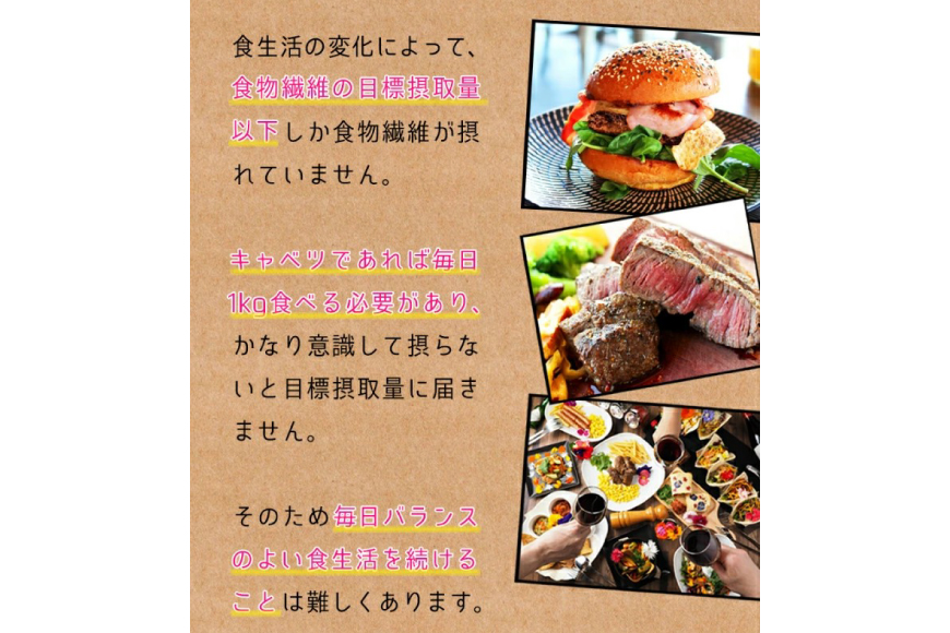 国内製造 サイリウムハスク(オオバコ) 600g 食物繊維 パウダー ダイエット 健康 スーパーフード 健康食品 [ツルヤ化成工業株式会社 山梨県 韮崎市 20745046]