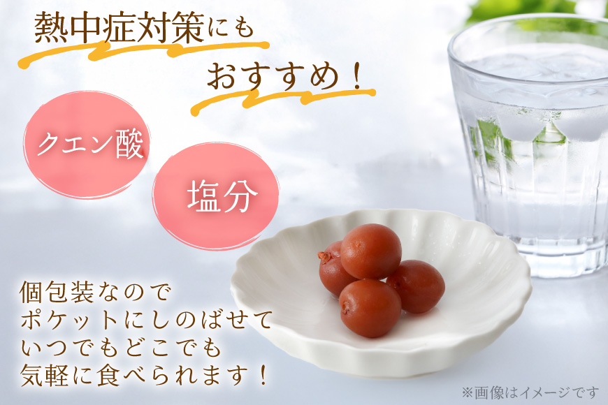 【やばいだろ】粋な小梅 350g [山梨農産食品 山梨県 韮崎市 20742087] 梅干し 梅干 うめぼし 梅 小粒 小梅 カリカリ梅 国産 個包装