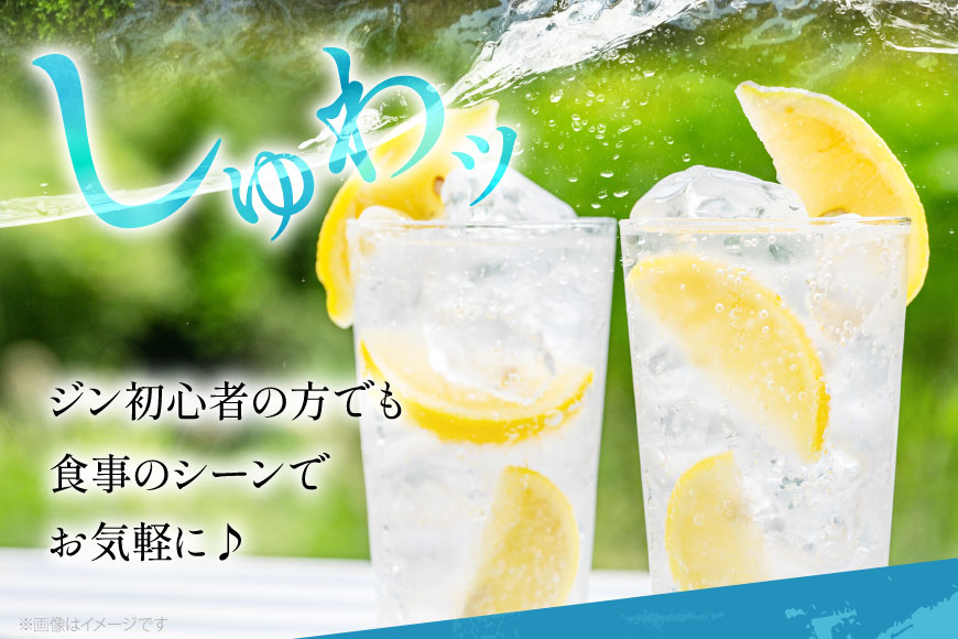 甲州韮崎 ジン 700ml×1本 [マツムラ酒販 山梨県 韮崎市 20742609] 酒 お酒 スピリッツ クラフトジン 蒸留酒 国産 カクテル JIN ソーダ割り