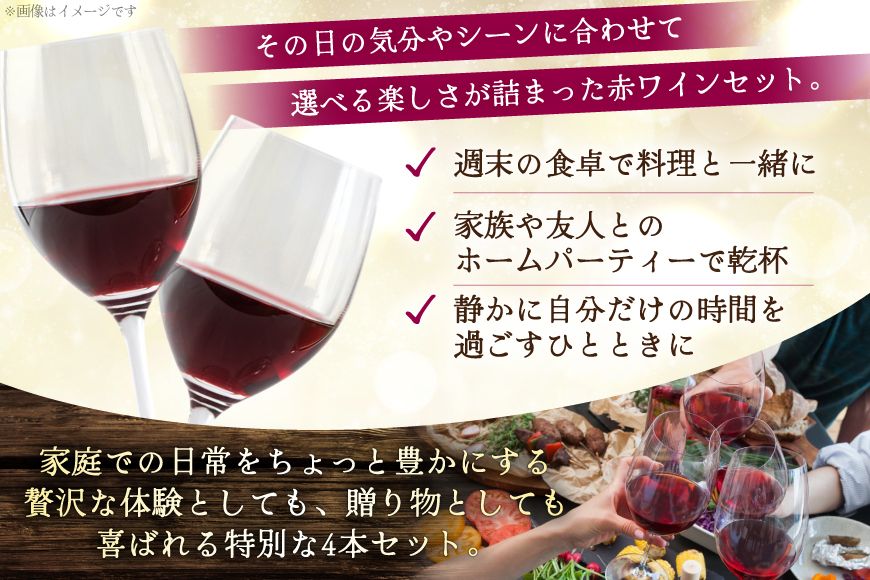 赤ワイン 4本 飲み比べセット　750ml×4本 [株式会社まあめいく 山梨県 韮崎市 20745328] ワイン Wine わいん 赤 飲み比べセット お酒 酒 山梨ワイン セット