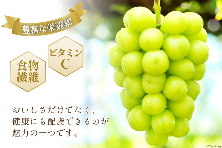 【2026年発送】 シャインマスカット 予約 山梨 マスカット シャイン ブドウ ぶどう 葡萄 種無し 2.5kg 3～ 6房 朝採れ 朝どれ 山梨県産 フルーツ 果物 2.5キロ 高品質 厳選 産地直送 季節限定 数量限定 期間限定発送 [OUTTA REACH JAPAN 山梨県 韮崎市 20742861]